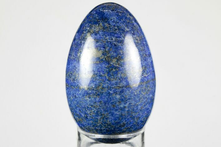 Polished Lapis Lazuli Egg - Pakistan #194511